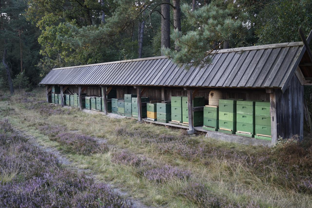 Ferienwohnungen / Ferienhaus Wahlers Bispingen Luaran gambar