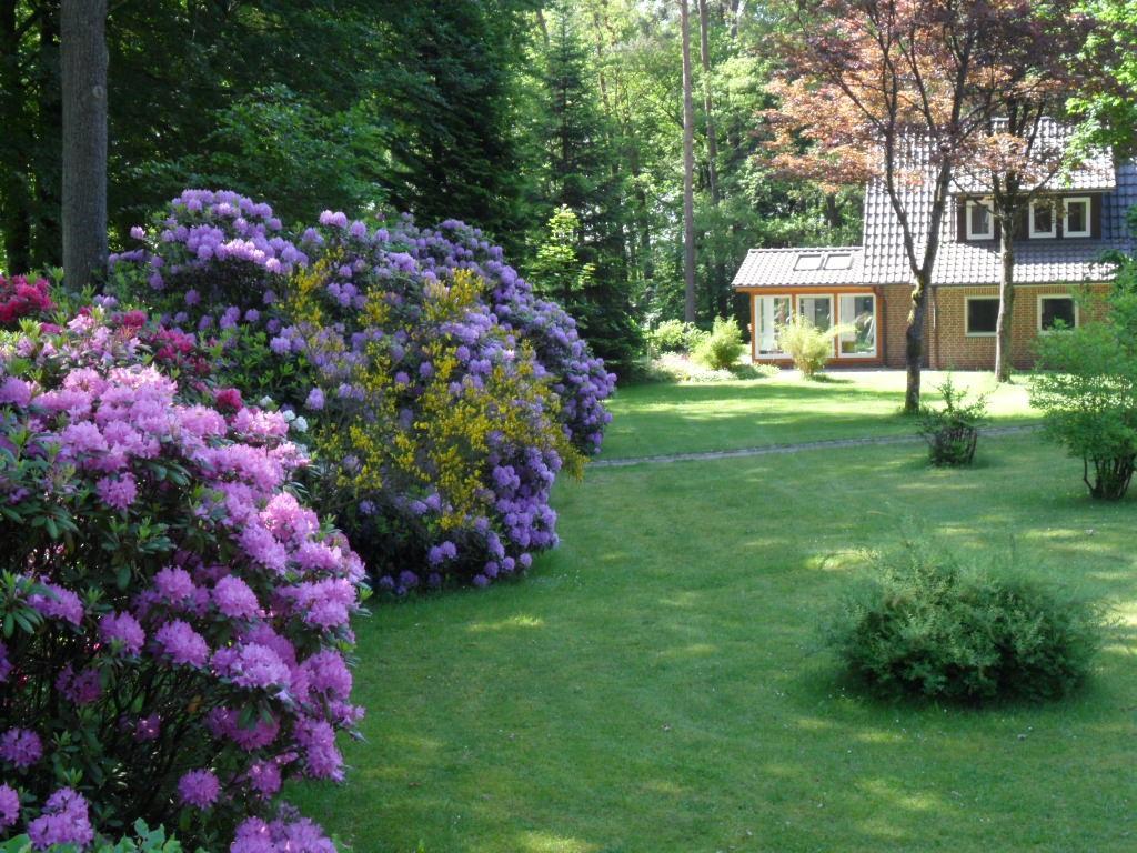 Ferienwohnungen / Ferienhaus Wahlers Bispingen Luaran gambar
